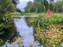 WAlk 1 - Winnall Moors Wildlife Reserve
