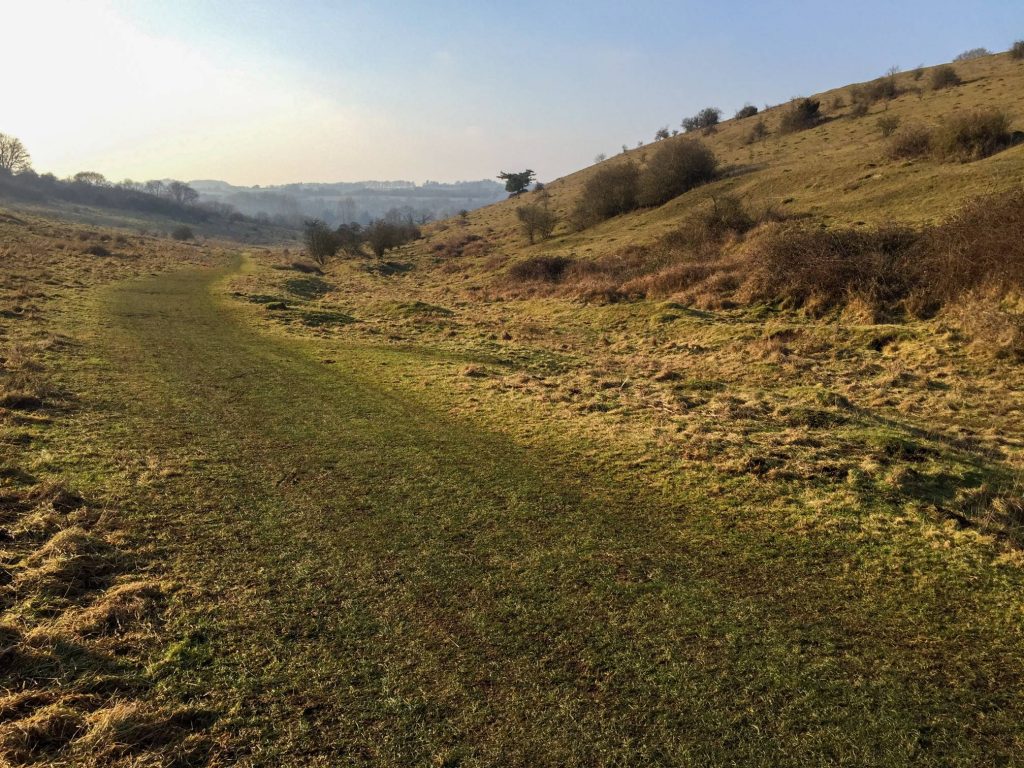 Path between St Catherine's hill on the right and Twyford Down on the left