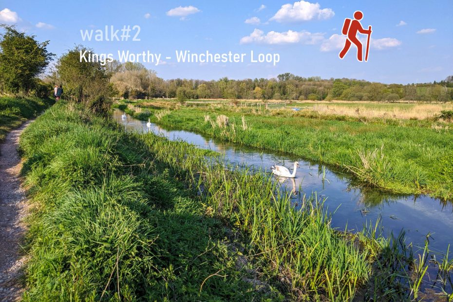 Kings Worthy walk2 wetland, footbridge, mud walkWINCHESTER