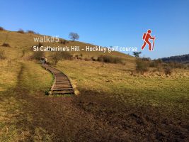 walk5 - St Catherine's Hill - Hockley golf course