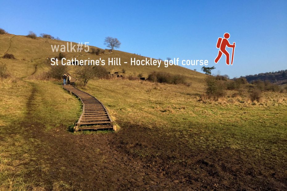 walk5 - St Catherine's Hill - Hockley golf course