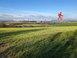 Walk#9 - Magdalen Hill and Cheesefoot Head