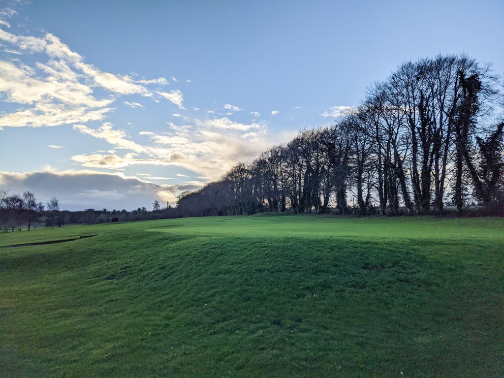 Trees at the North-Western  perimeter of the Golf Club