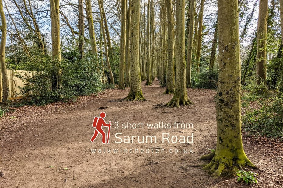 3 short walks from Sarum Road
