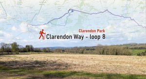 Clarendon Way loop 8
